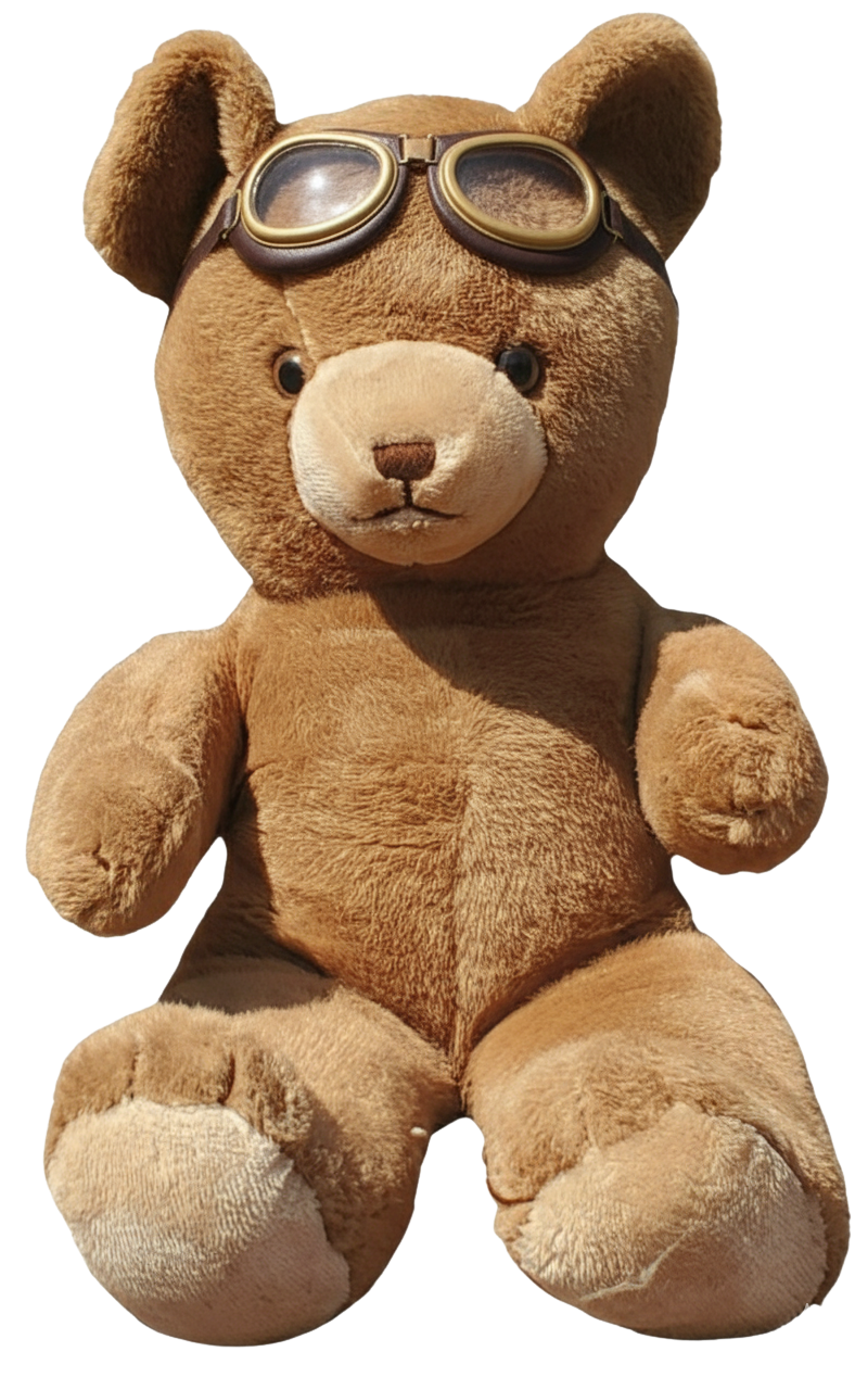 Teddy's Adventures high contrast books for infants and toddlers. A picture of a brown teddy bear sitting with aviator goggles on its forehead.